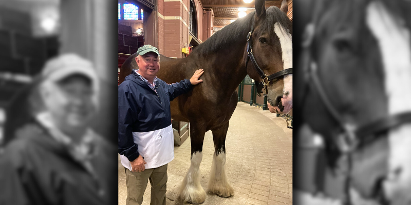 visiting the Clydesdales, super bowl promo heroes